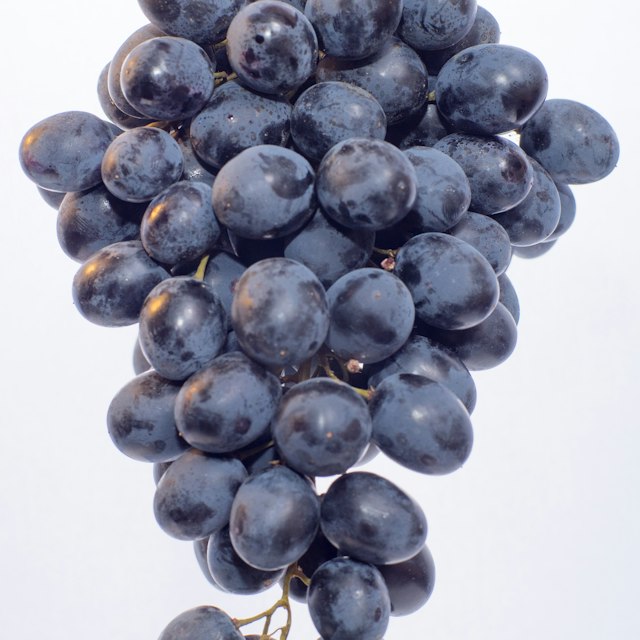 Black Grapes