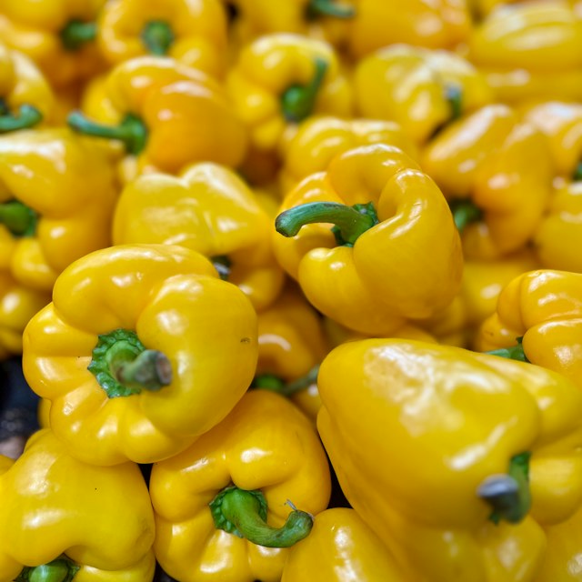 Capsicum Yellow