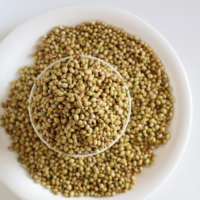 Coriander Seeds