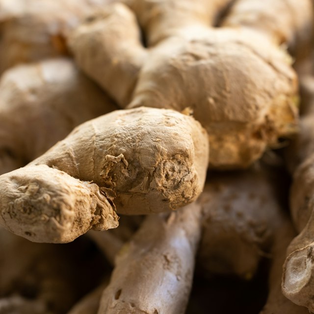 Ginger