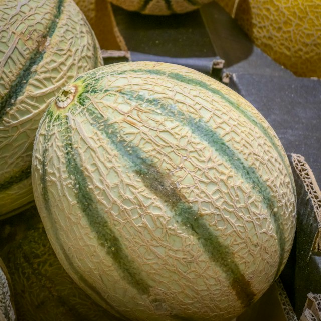 Muskmelon
