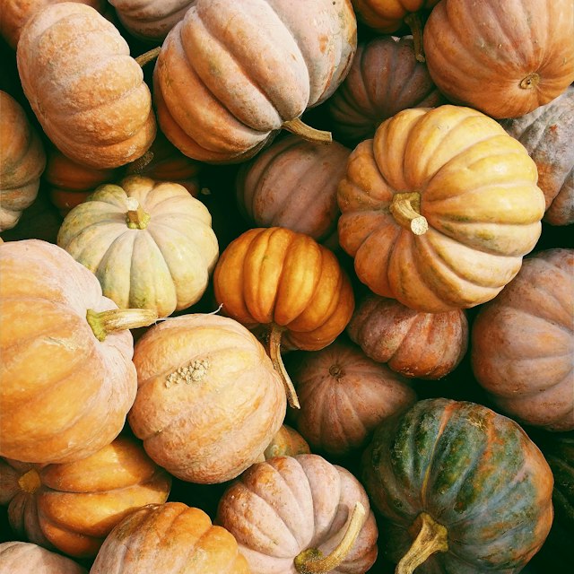 Pumpkin
