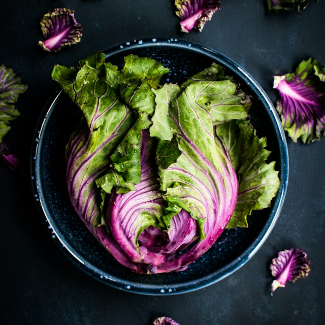 Red Cabbage