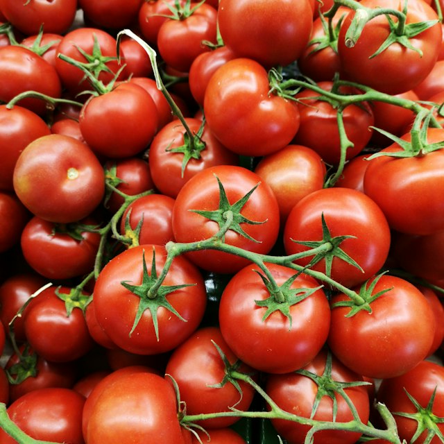 Tomato